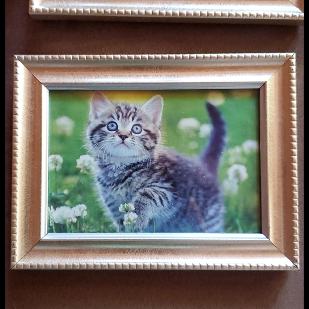 3.5x5 Photo Frame - Picture 4 of 9